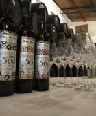 Kosher el vino judío también se elabora en Córdoba