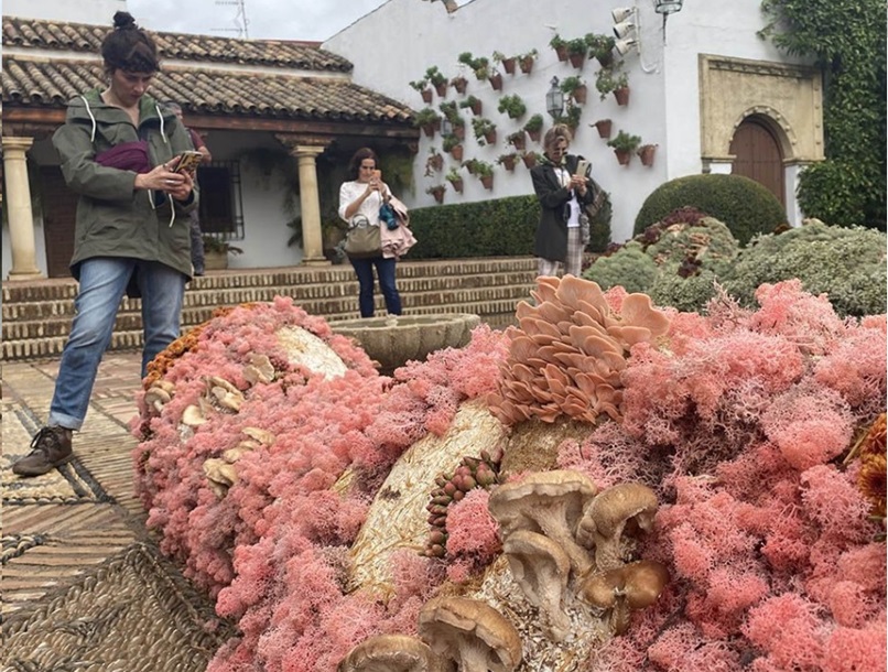 LAS SETAS COMO RECURSO ARTÍSTICO COMESTIBLE